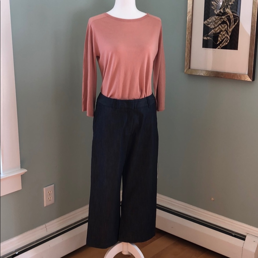 Garnet Hill Crop Chinos in Dressy Denim Sz 10